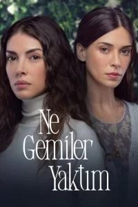 Какие корабли я сжег Какие корабли я сжег