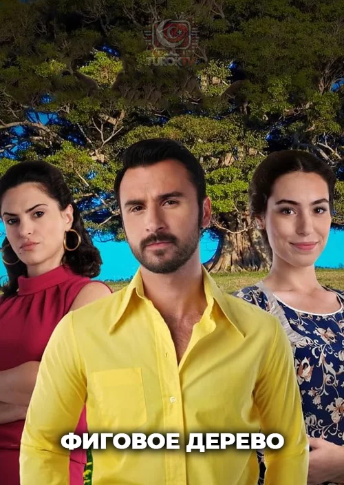 Фиговое дерево