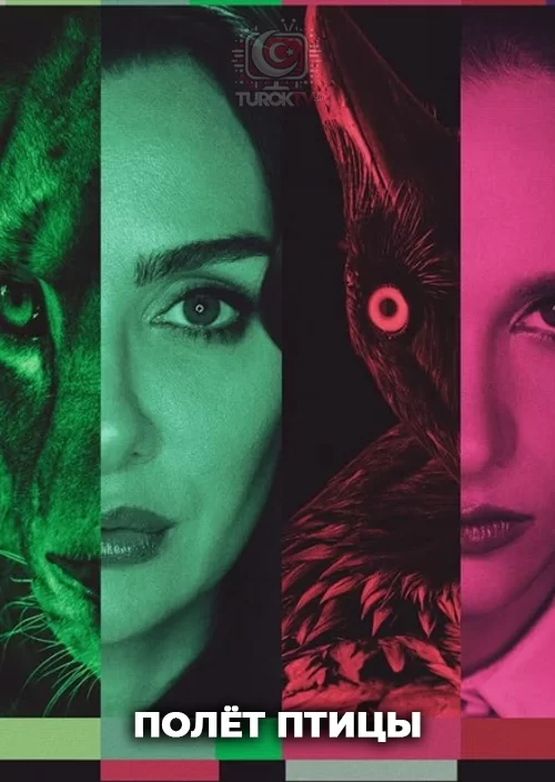 Полёт птицы Полёт птицы