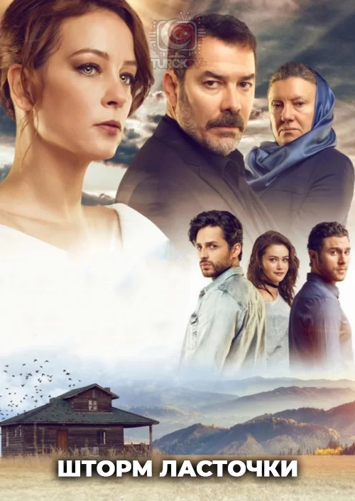 Шторм ласточки