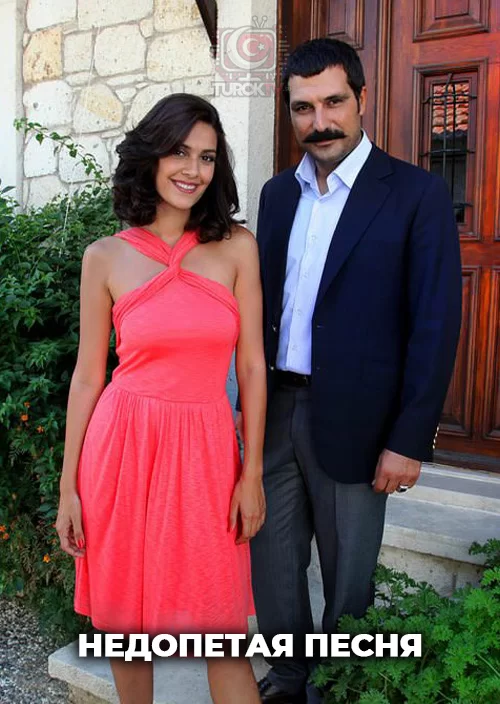 Недопетая песня