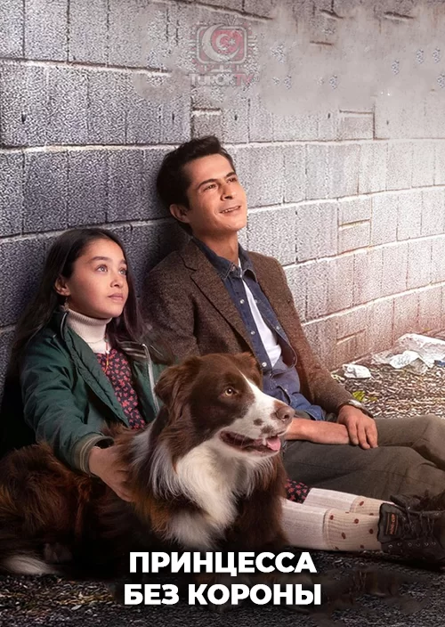 Принцесса без короны Принцесса без короны