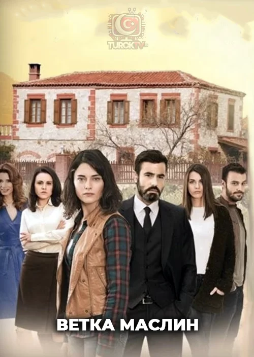 Ветка маслин